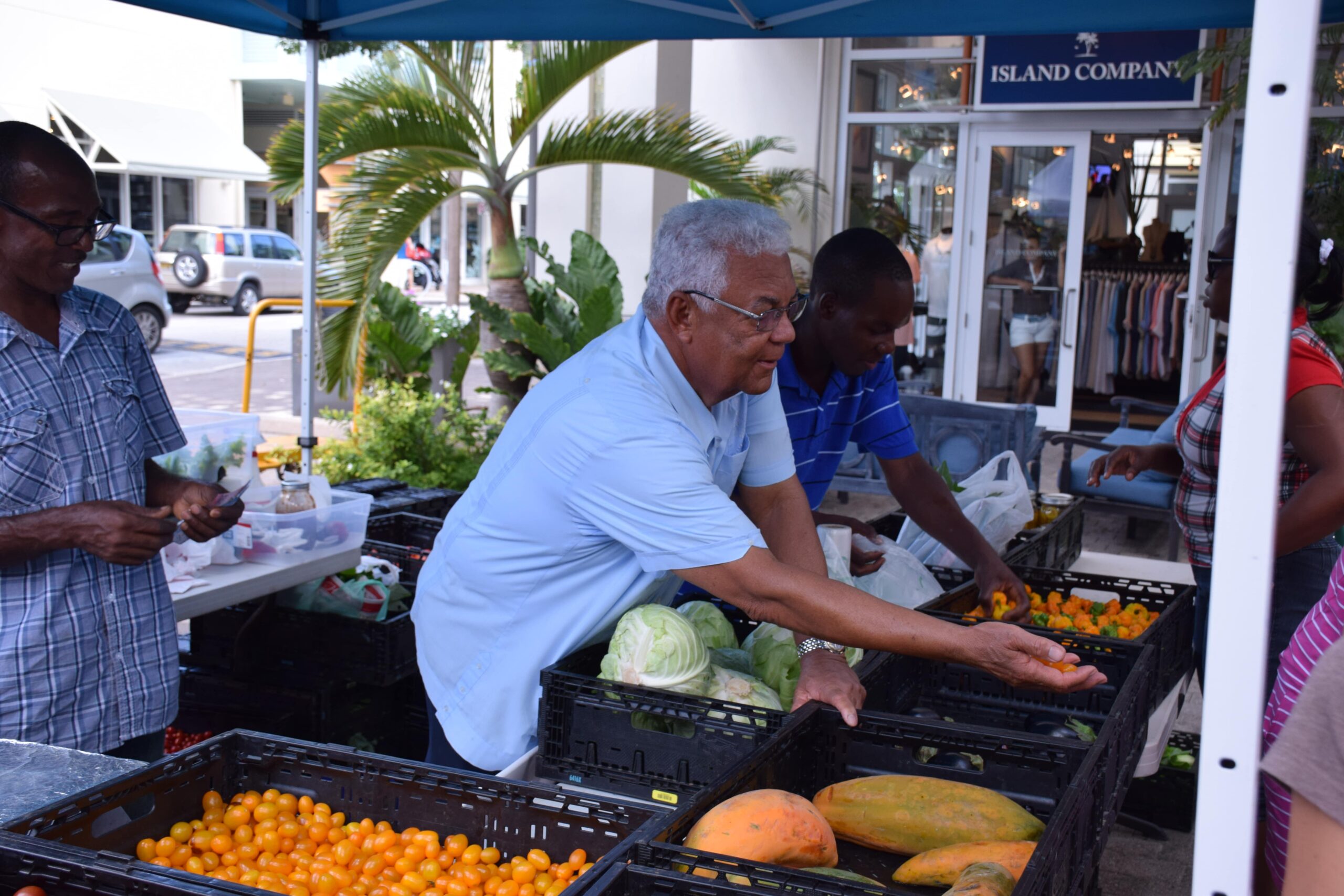 The Market at Camana Bay DSC_0327 16711 min scaled
